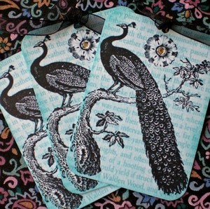 The Posh Peacock Tag - Set of 3