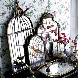 Birdcage mirror