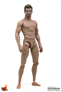 TrueType Male Figure Body Muscular Caucasian Version