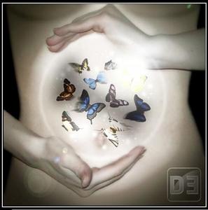 Бабочек в животе