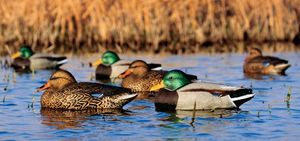 Greenhead Gear® "Hot Buy II"™ Weighted-Keel Mallard Decoy