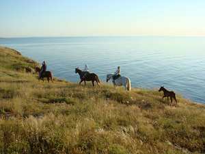 Конная прогулка