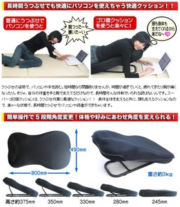 The “Lazy Geek’s Cushion” from Thanko