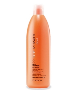 Ice Cream Inebrya DRY-T SHAMPOO 1000 ML