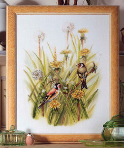 A Charm of Goldfinches, Orchidea