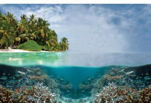The Puerto Princesa Subterranean River National Park