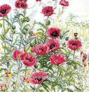 Thea Gouverneur "Red Poppies"