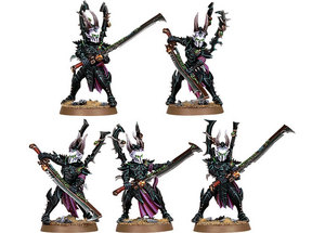 Dark Eldar Incubi.