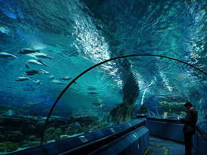 oceanarium