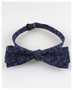 Галстук-бабочка