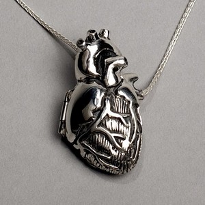 anatomically correct human heart