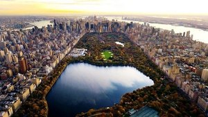 в любимый Central Park