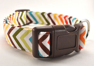 The Chevron - Dog Collar