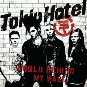 на концерт Tokio Hotel...