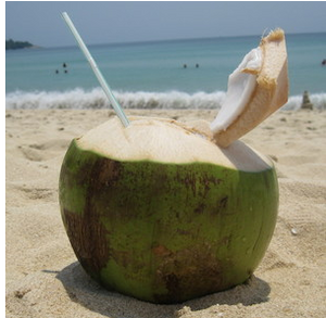 Попробовать коктейль прямо из кокоса