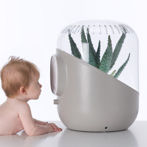 air purifier
