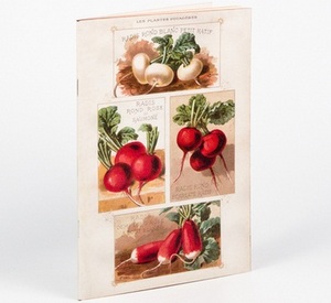 Letterbox Radis Vintage