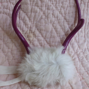 Рога на ободке