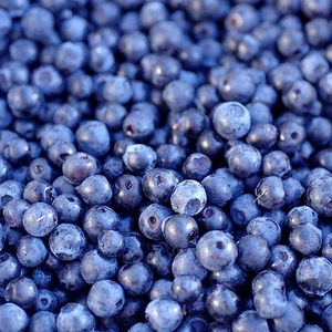 blueberry
