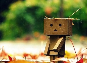 danbo. ужас как хочу этого уродца