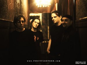 сходить на концерт Porcupine Tree