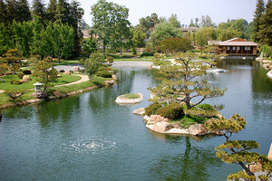 Гулять по красивому саду