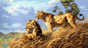 Dimensions 03866 African Lions