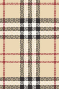 шарф  Burberry