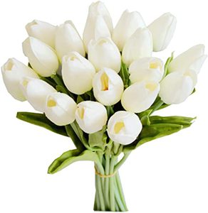 White Tulips