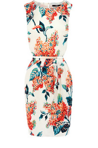 Silk Botanical Dress