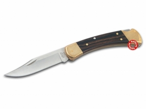 Buck 110 Folding Hunter