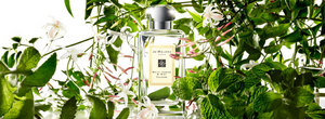 Jo Malone White Jasmine And Mint