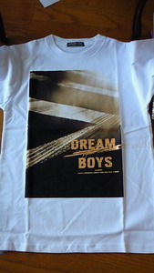 Футболка Dream Boys 2009