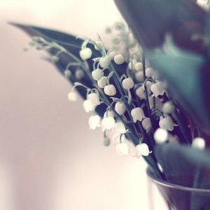 букет лaндышей