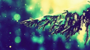 Новый 2013 год...