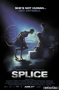 посмотреть Splice