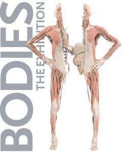 Выставка человеческого тела "The Human Body"