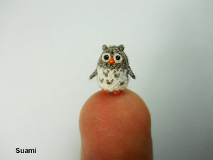 Micro Gray Owl