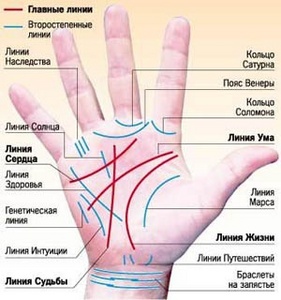 расшифровка ладоней рук у хироманта