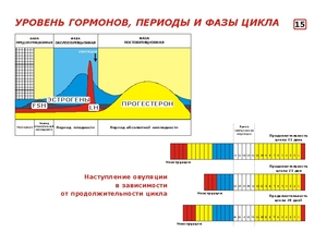 Курсы ЕПС