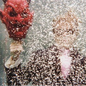 Ty Segall "Ty Segall" 2008 LP