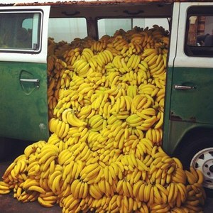 Бананы. Много бананов.