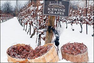 Ice Wine