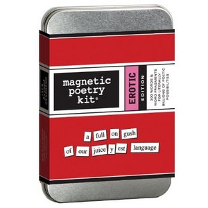 Erotic Kit: Magnetic Poetry