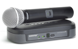 Радиосистема SHURE PG24/PG58