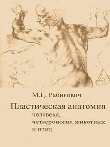 прочитать книгу по пластической анатомии