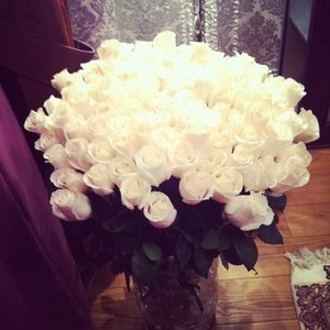 белые розы))
