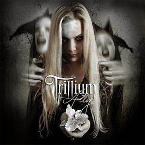 Trillium - Alloy