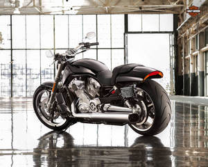 Harley Davidson V-Rod Muscle