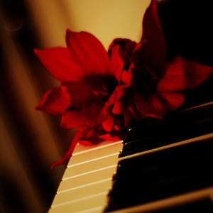 Играть на фортепиано